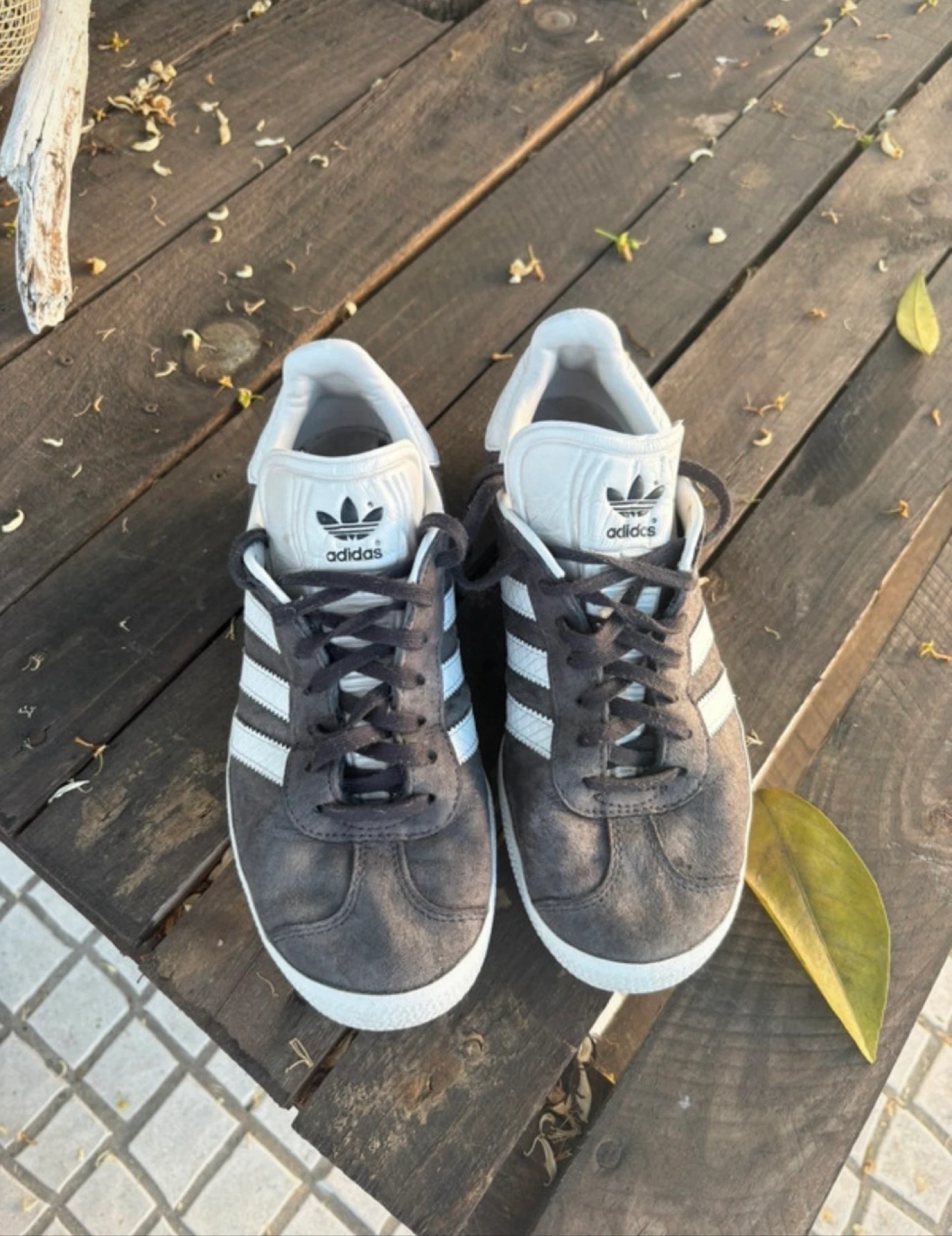 Ténis Gazelle- Adidas 